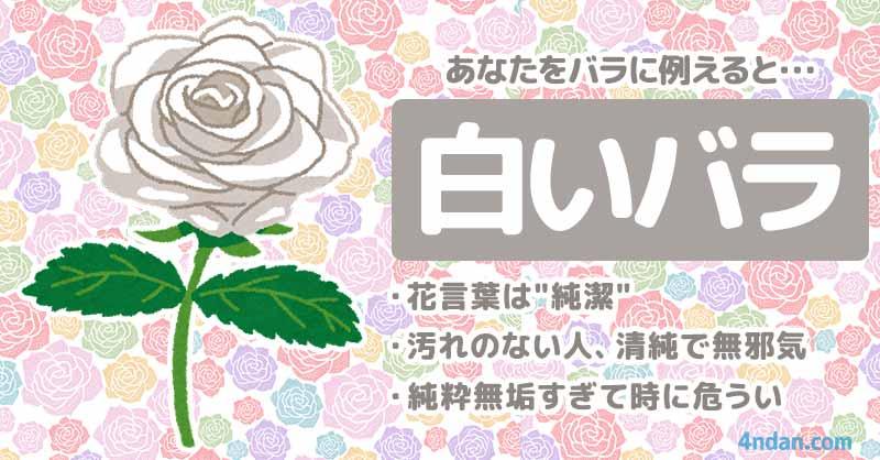 あなたをバラに例えると