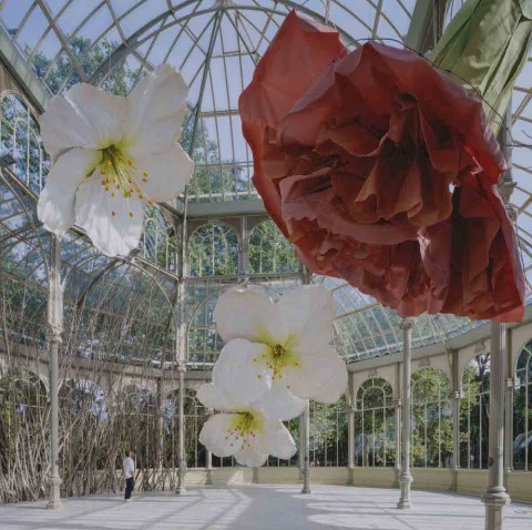 ガラスの温室に展示した巨大な花のインスタレーション Petrit Halilaj Jiuni Q