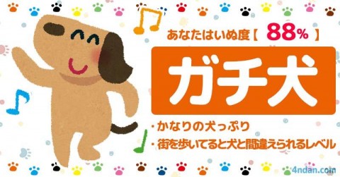 あなたのいぬ度