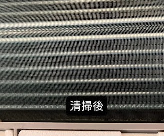 cbge69try25h8893wioc-5e8a94d2.jpg