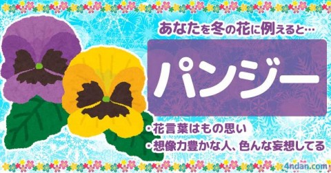 あなたを冬の花に例える