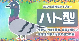 鳥性格タイプ診断