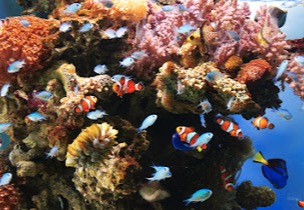 xv4hkt9knjdhnyxrhdsm-f8720069.jpg